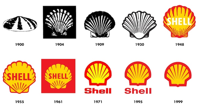 history of the pecten graphic